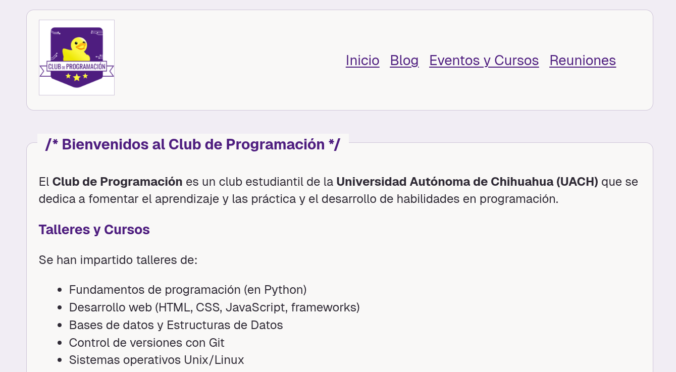 Preview of project Programming Club Website
